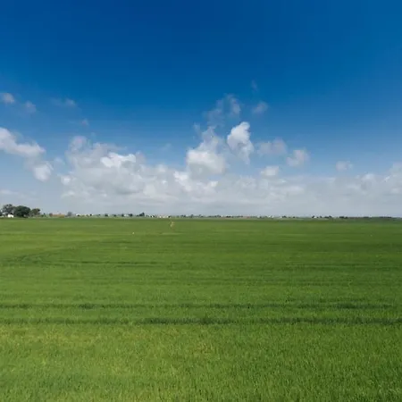 Salicornia Апартаменты *